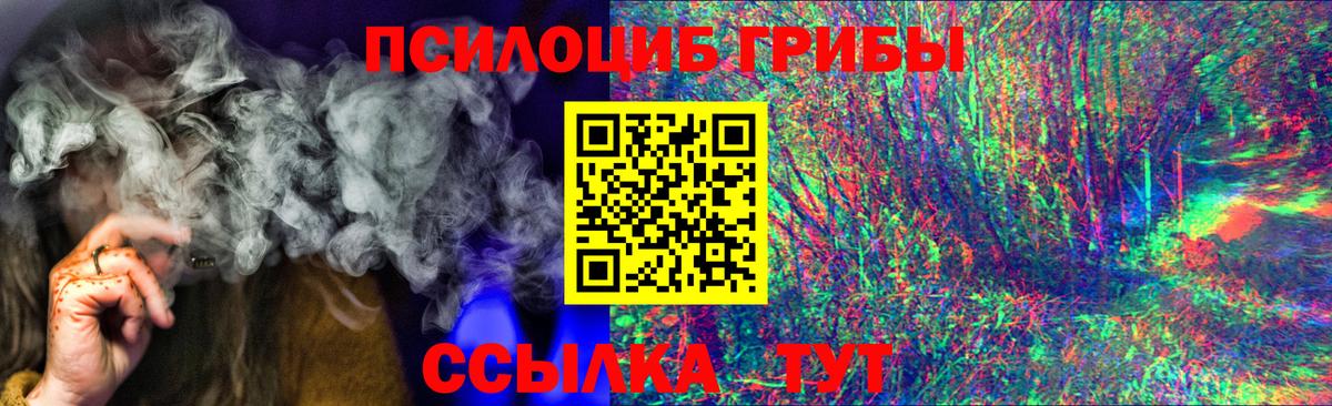 Галлюциногенные грибы MAGIC MUSHROOMS Сланцы